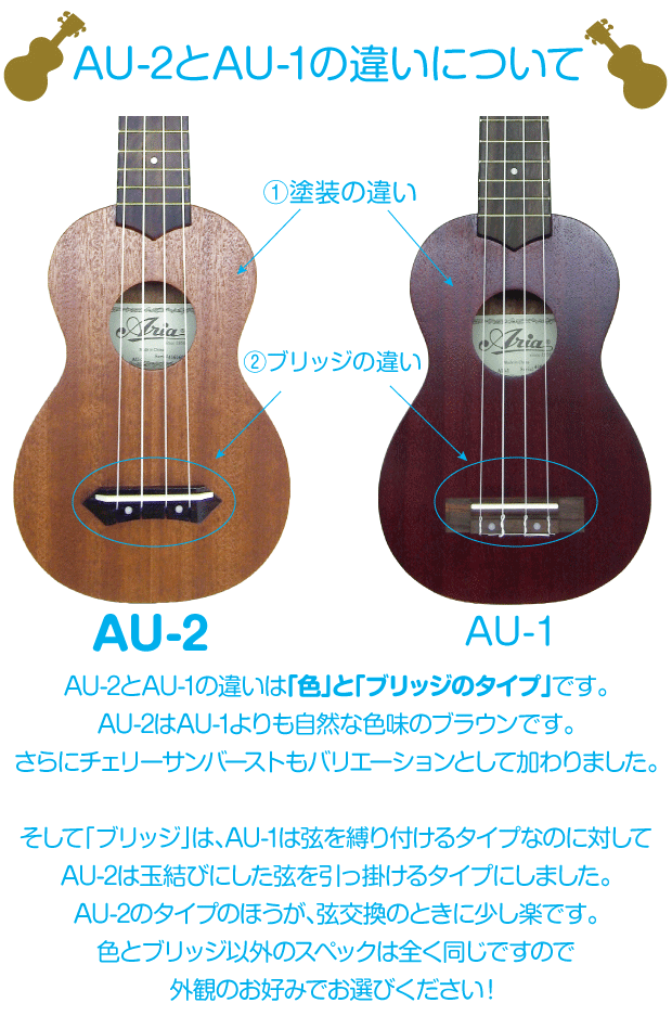 ウクレレ ソプラノ AQUA Model One&Only 001 - その他