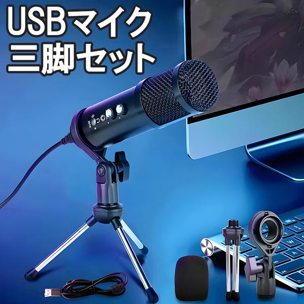 オーディオインターフェイス エコー内臓 USB マイク