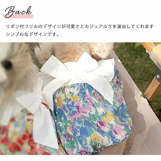 犬 夏服