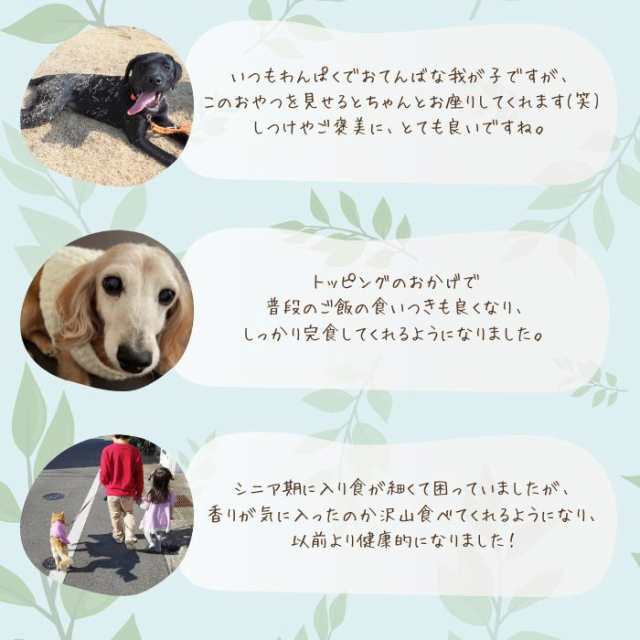 獣医師監修】送料無料 お徳用 ささみ&まぐろ ジャーキーセット 無添加 国産 犬 おやつ ドッグフード ささみジャーキー まぐろジャーキの通販はau PAY マーケット LuxuStyle au PAY マーケット-通販サイト 無添加ジャーキー ささみ まぐろ 犬用おやつ 猫用おやつ