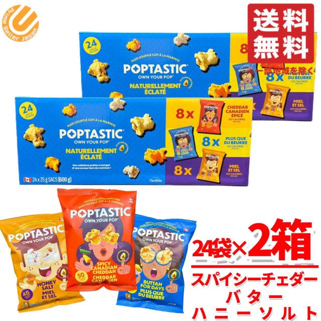 ポップコーン 個包装 小袋 コストコ 3種24袋×2箱 ポップタスティック ポッピンボックス POPTASTIC 通販 送料無料