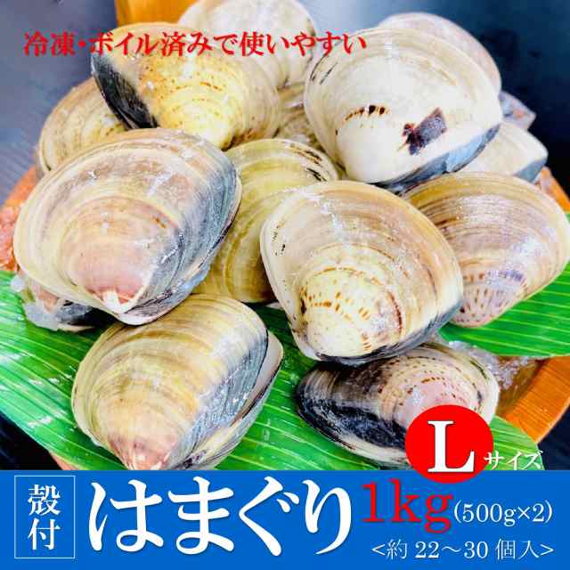 kakiya 【 殻付はまぐり L サイズ １kg (500g×2PC) 】1kgで22～30個入ってます！ 砂抜き済 冷凍で使いやすくて便利 冷凍蛤  ハマグリ はの通販はau PAY マーケット - 牡蠣鮮魚仲卸かきや