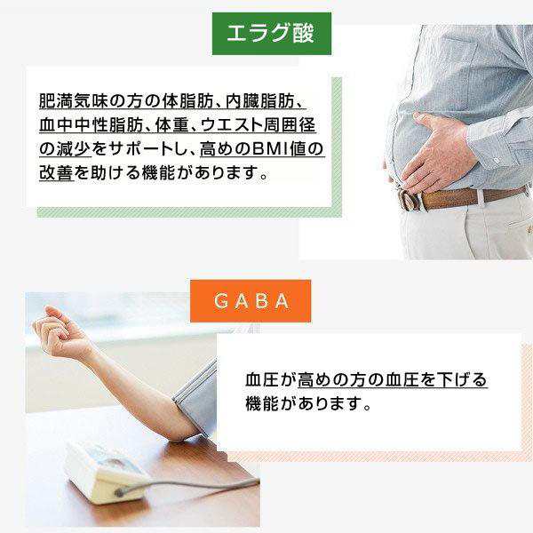 青汁 乳酸菌 Ｗの健康青汁 新日本製薬 公式 機能性表示食品 体重 ...