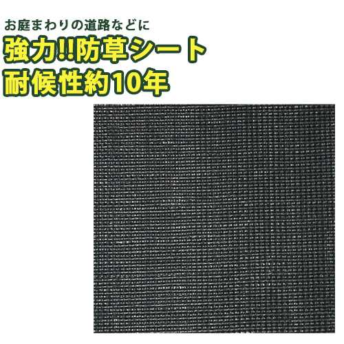 強力 防草クロスシート PRO 幅1m×長さ50m 黒 防草 雑草 対策 防止 庭 花壇 草除け ガーデニング 家庭菜園 園芸 金TD