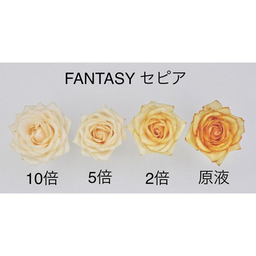 パレス化学 切花着色剤ファンタジー 100ml クリア うすめ液 切り花 着色 レインボー フラワー アレンジ 切り花着色剤 植物 染色 染色液  の通販はau PAY マーケット おしゃれ農作業着専門店エフィルス au PAY マーケット－通販サイト