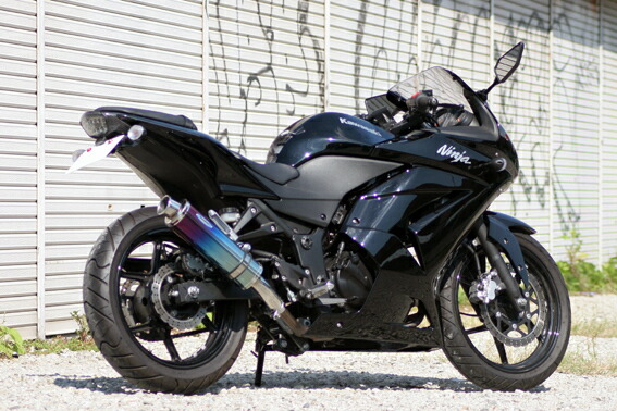 Realize (リアライズ) カワサキ ニンジャ250R (EX250K) バイク Realize (リアライズ) カワサキ ニンジャ250R (EX250K) バイク
