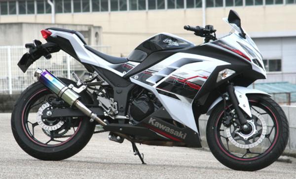 Realize (リアライズ) カワサキ ニンジャ250 (EX250L) バイクマフラー