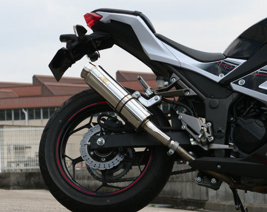 Realizeカワサキ ニンジャ250 Aria アリア スラッシュ TypeS Realizeカワサキ ニンジャ250 Aria アリア スラッシュ TypeS