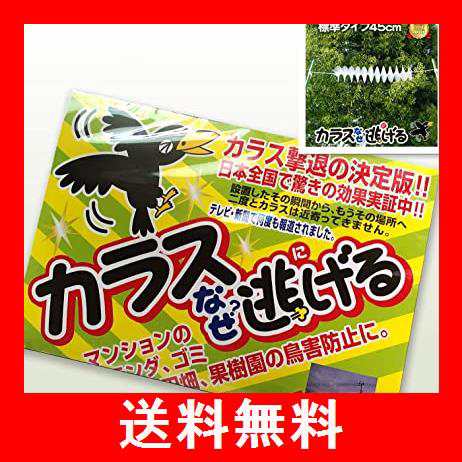 カラス撃退 忌避 カラス撃退！カラスなぜ逃げる標準タイプ 10個セット