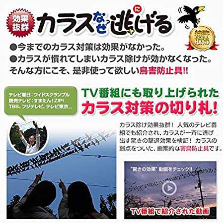 カラスなぜ逃げる? 標準タイプ ＫＳ−００１ 撃退率95％以上 カラス ...