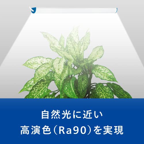 Philipsフィリップス 植物育成ライト LED 植物 ライト 観葉植物 育成ライト USBライト 植物用ledライト 省エネ 水耕栽培  植物育成用ラ｜au PAY マーケット