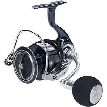 ダイワ(DAIWA) スピニングリール 19 セルテート LT5000D-CXH (2019モデル)の通販は - その他のスポーツ