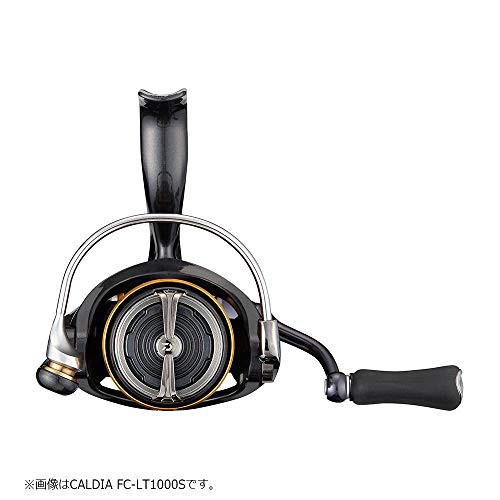 ダイワ(DAIWA) 21 カルディア FC LT2000S-Hの通販はau PAY マーケット