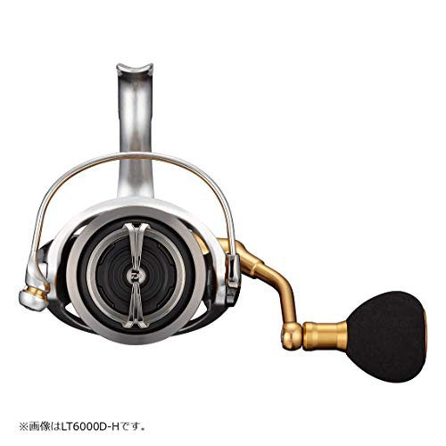 ダイワ(DAIWA) 21 フリームス LT5000-CXHの通販はau PAY マーケット