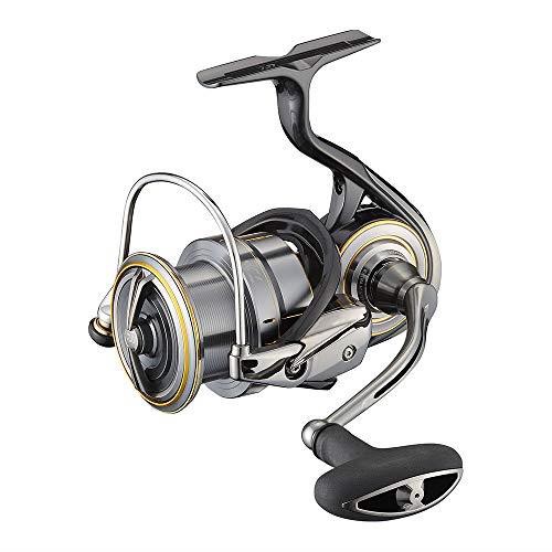 ダイワ 21 ルビアス エアリティ LT4000-CXHの通販は