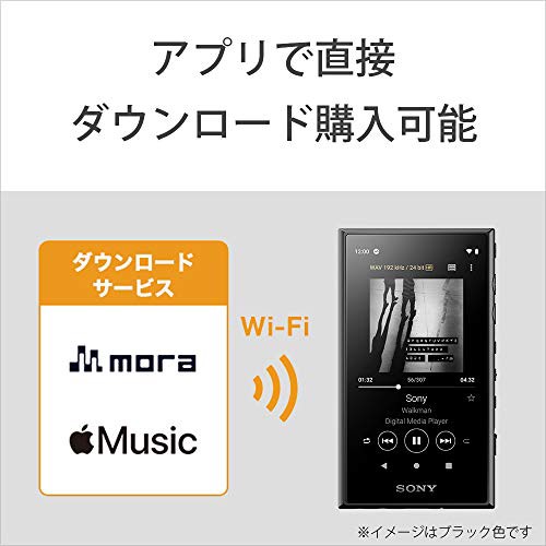 ソニー ウォークマン 32GB Aシリーズ NW-A106 : ハイレゾ対応 / MP3