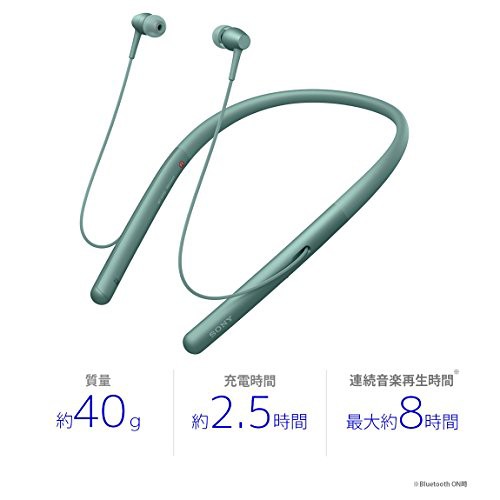 ソニー ワイヤレスイヤホン h.ear in 2 Wireless WI-H700 : Bluetooth