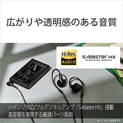 ソニー ウォークマン 32GB A300シリーズ NW-A306 : ワイヤレスでも ...