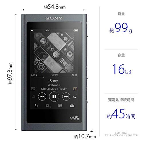 ソニー ウォークマン Aシリーズ 16GB NW-A55 : MP3プレーヤー ...