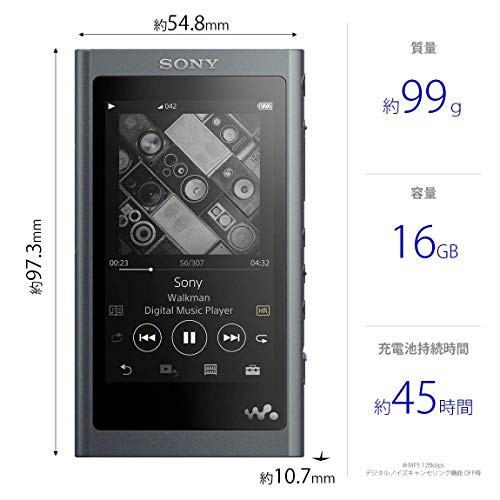 ソニー ウォークマン Aシリーズ 16GB NW-A55 : MP3プレーヤー