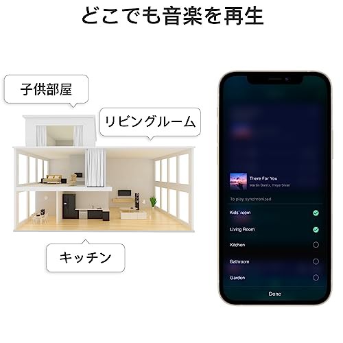 超爆安 WiiM Mini AirPlay 2レシーバーアダプター スマホアクセサリー 