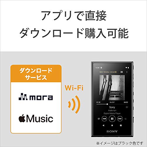 ソニー ウォークマン 16GB Aシリーズ NW-A105 : ハイレゾ対応 / MP3