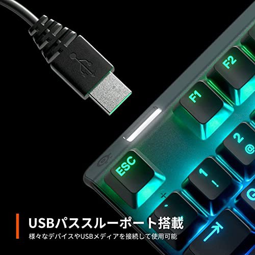 SteelSeries ゲーミングキーボード テンキーレス 有線 英語配列