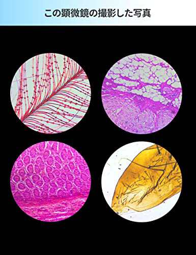 MAXLAPTER 顕微鏡 2000X移動定規式顕微鏡 上下LED カメラホルダー