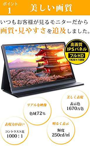 WINTEN 薄型モバイルディスプレイ 15.6インチ WT-156H2-BS - ディスプレイ