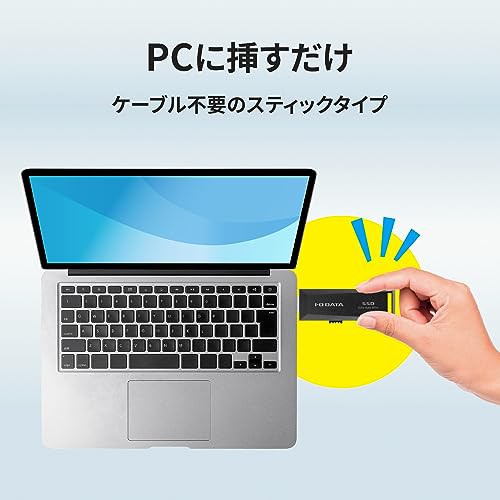 アイ・オー・データ IODATA スティックSSD テレビ録画/PC対応 2TB USB