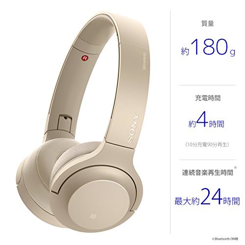 ソニー ワイヤレスヘッドホン h.ear on 2 Mini Wireless WH-H800
