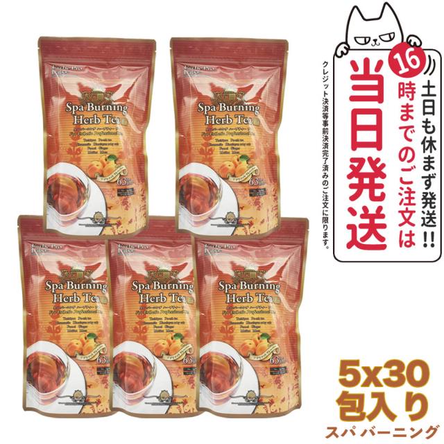 5袋セット エステプロラボ スパ バーニング ハーブティー プロ 3g×30 Esthe Pro Labo ダイエット スッキリ 天然素材 おいしい オーガニック ハーブティー 全国送料無料