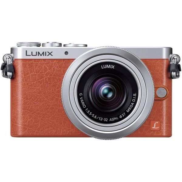 LUMIX パナソニック Panasonic ルミックス GM1 12-32mm レンズ