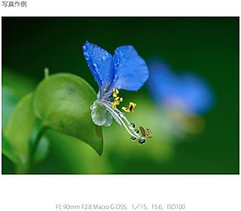 【中古】ソニー / マクロ / フルサイズ / FE 90mm F2.8 Macro G OSS / Gレンズ / デジタル一眼カメラα[Eマウント]用 純正レンズ / SEL90