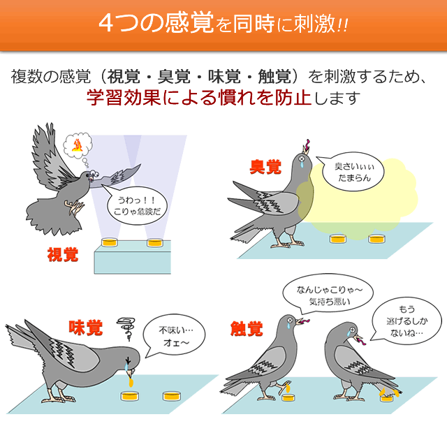 即日出荷可/送料無料】鳩 雀 コウモリ追い払い 忌避剤/バードフリー (1セット) +コーキングガン 1本プレゼントの通販はau PAY マーケット  au PAY マーケット－通販サイト