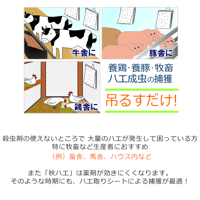 即日出荷可】特大ハエトリ紙 虫とりカレンダーシート 10枚綴り 吊るし