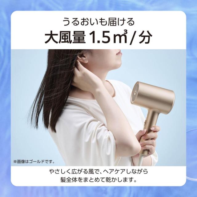 テスコム TESCOM ハンド ドライヤー モイスチャーイオン ヘア