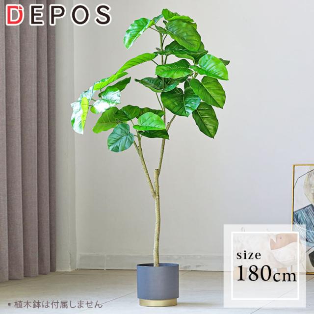 人工観葉植物 フェイクグリーン 大型観葉植物 造花 屋内 室内 大型 フィカス ウンベラータ 180cm Ficus Tree 大型宅配便 Hnw1の通販はau Pay マーケット Depos 人工観葉植物 フェイクグリーン 大型観葉植物 造花 屋内 室内 大型 フィカス ウンベラータ 180cm Ficus Tree 大型宅配便 Hnw1の通販はau Pay マーケット Depos