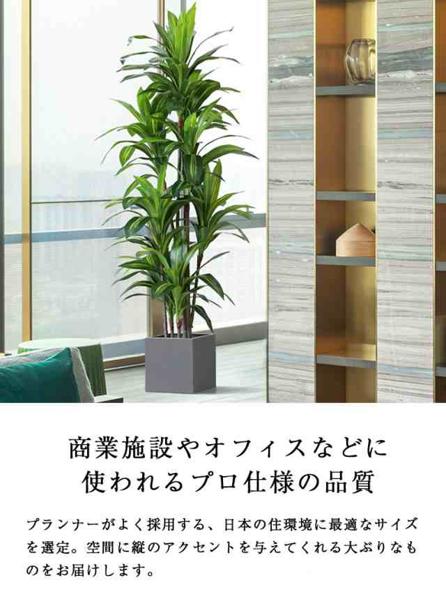 人工観葉植物 フェイクグリーン 大型観葉植物 造花 屋内 室内 大型 ドラセナ 180cm Brazil tree【大型宅配便】 hnw1の通販はau  PAY マーケット - DEPOS | au PAY マーケット－通販サイト