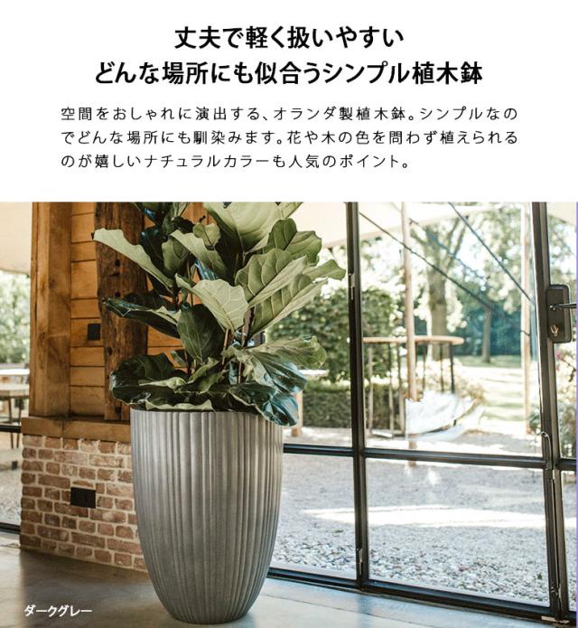 オランダ製capi ダークグレー 大型と細長タイプ2セット 縦長植木鉢 capi ベースエレガントロウ チューブ 高さ59cm
