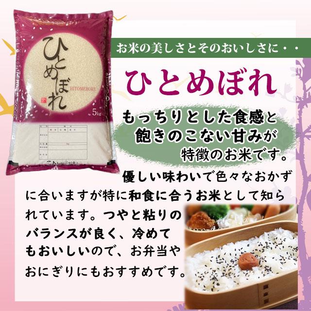 福島県　ひとめぼれ 20kg 令和7年産　送料無料　農家直送 食品 福島県 ひとめぼれ 20kg 令和7年産 送料無料 農家直送