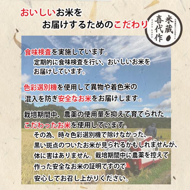お米 米 10kg 食べ比べセット 天のつぶ・ミルキークイーン 精米各5キロ（5kg×2袋） 農家直送 福島県産 送料無料【※九州・沖縄別途送料】