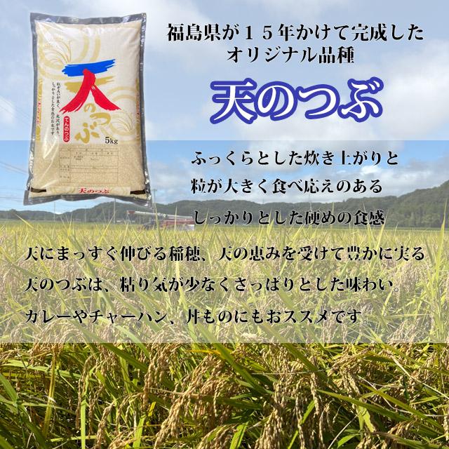 米 お米 20Kg 天のつぶ お米 20kg （5kg×4袋） 農家直送 福島県産 令和7年産 送料無料 【※九州・沖縄別途送料】_1
