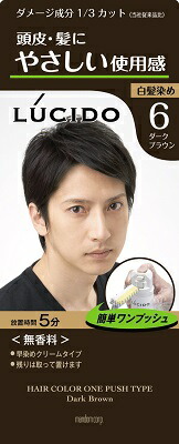 マンダム ルシード　ワンプッシュケアカラー　６ 1組×36個   【送料無料】