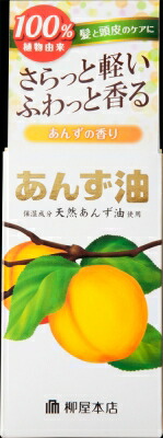 柳屋本店 柳屋　あんず油 60ｍｌ×36個   【送料無料】
