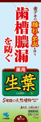 小林製薬 薬用生葉ｂ １００Ｇ×96個【送料無料】【オーラル】【歯磨き】【歯ブラシ】