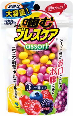 小林製薬 噛むブレスケア　レモンピーチグレープ　お得な大容量 １００粒×48個【送料無料】【オーラル】【歯磨き】【歯ブラシ】