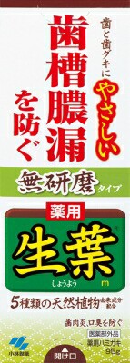 小林製薬 生葉　薬用ハミガキ　無研磨タイプ ９５ｇ×48個【送料無料】【オーラル】【歯磨き】【歯ブラシ】