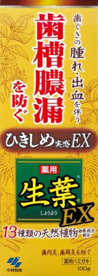 小林製薬 生葉ＥＸ　１００ｇ １００ｇ×96個【送料無料】【オーラル】【歯磨き】【歯ブラシ】