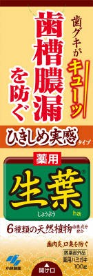 小林製薬 ひきしめ実感　薬用生葉 １００ｇ×96個【送料無料】【オーラル】【歯磨き】【歯ブラシ】